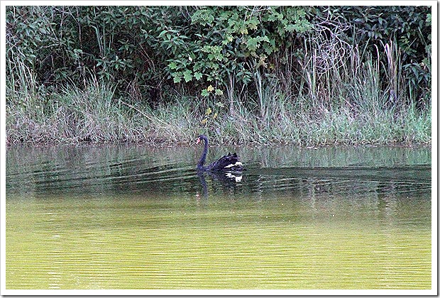 Pang Ung, Around Mae Hong Son