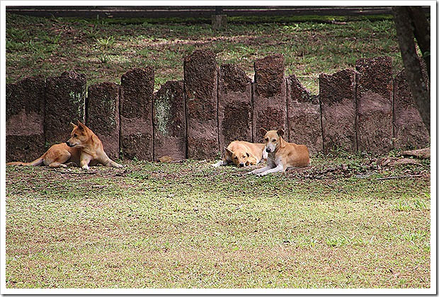 カンペーン・ペッ歴史公園