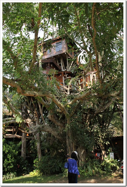 Pai Tree House