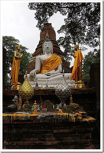 IMG_1629 IMG_1629