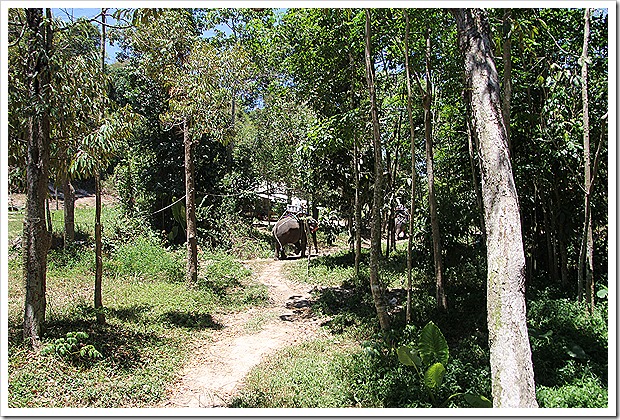 ナムアン滝(Na Mueang Waterfall)