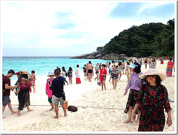 シミラン諸島1日ツアー