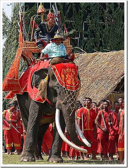 スリンの象祭りの旅(2005/11/19)