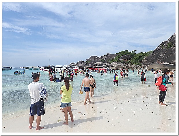 シミラン諸島1日ツアー