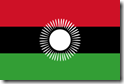 マラウイの新国旗